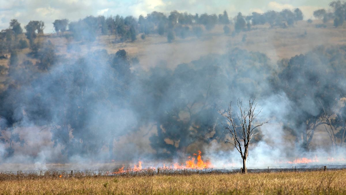 grassfire burning with lots of smoke in a rural field