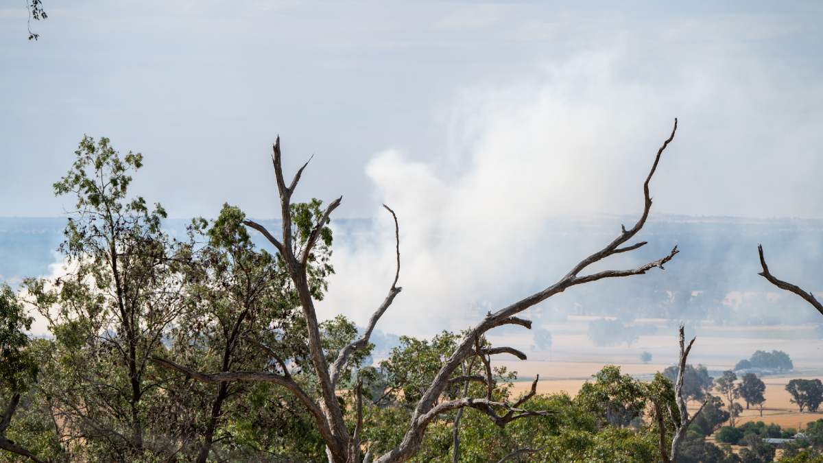 billowing smoke from a grassfire