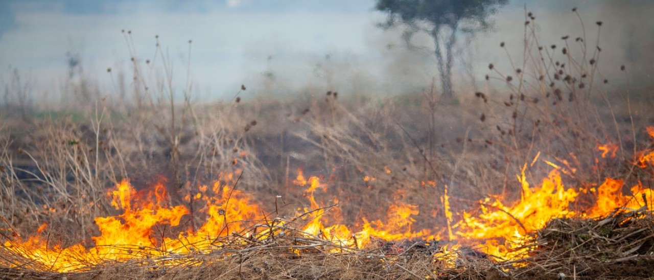burning grassfire