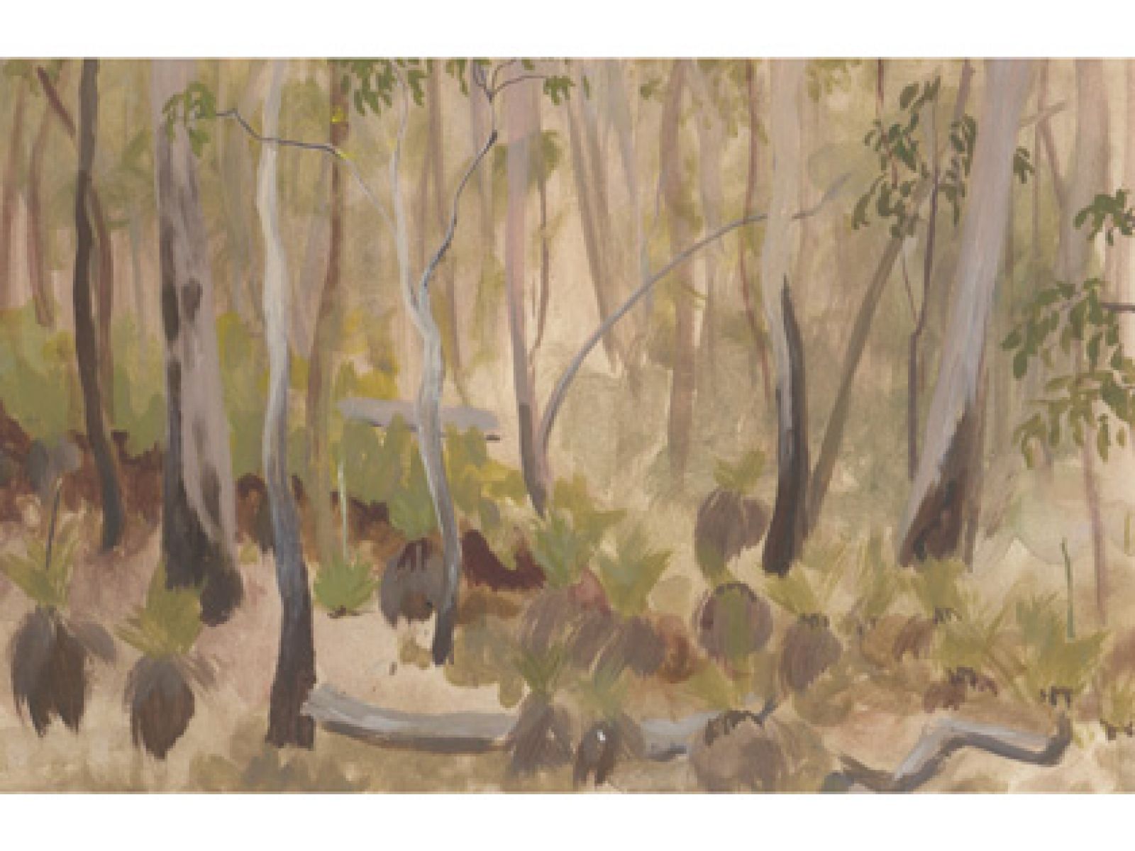 Painting of Australian bushland type trees. 