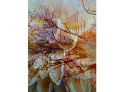 on-the-edge-of-the-lake-420x315