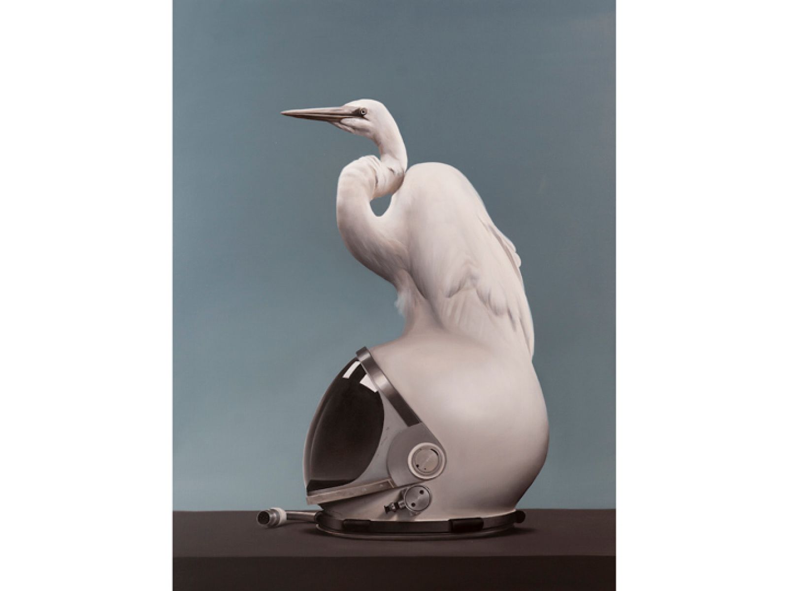 A ehite crane type bird morphong into a space helmet