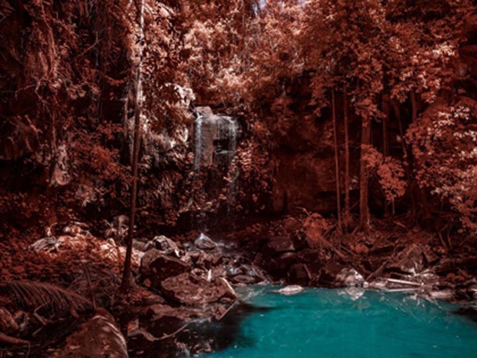 A painting of a waterfall in dense orange coloured bushland