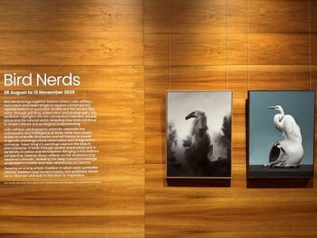 Two different bird based artworks on the right, with a description of the artworks on the left