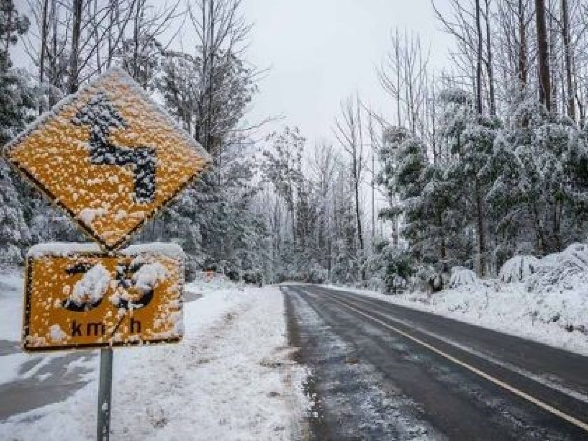 snow-covered road in Victorian high country