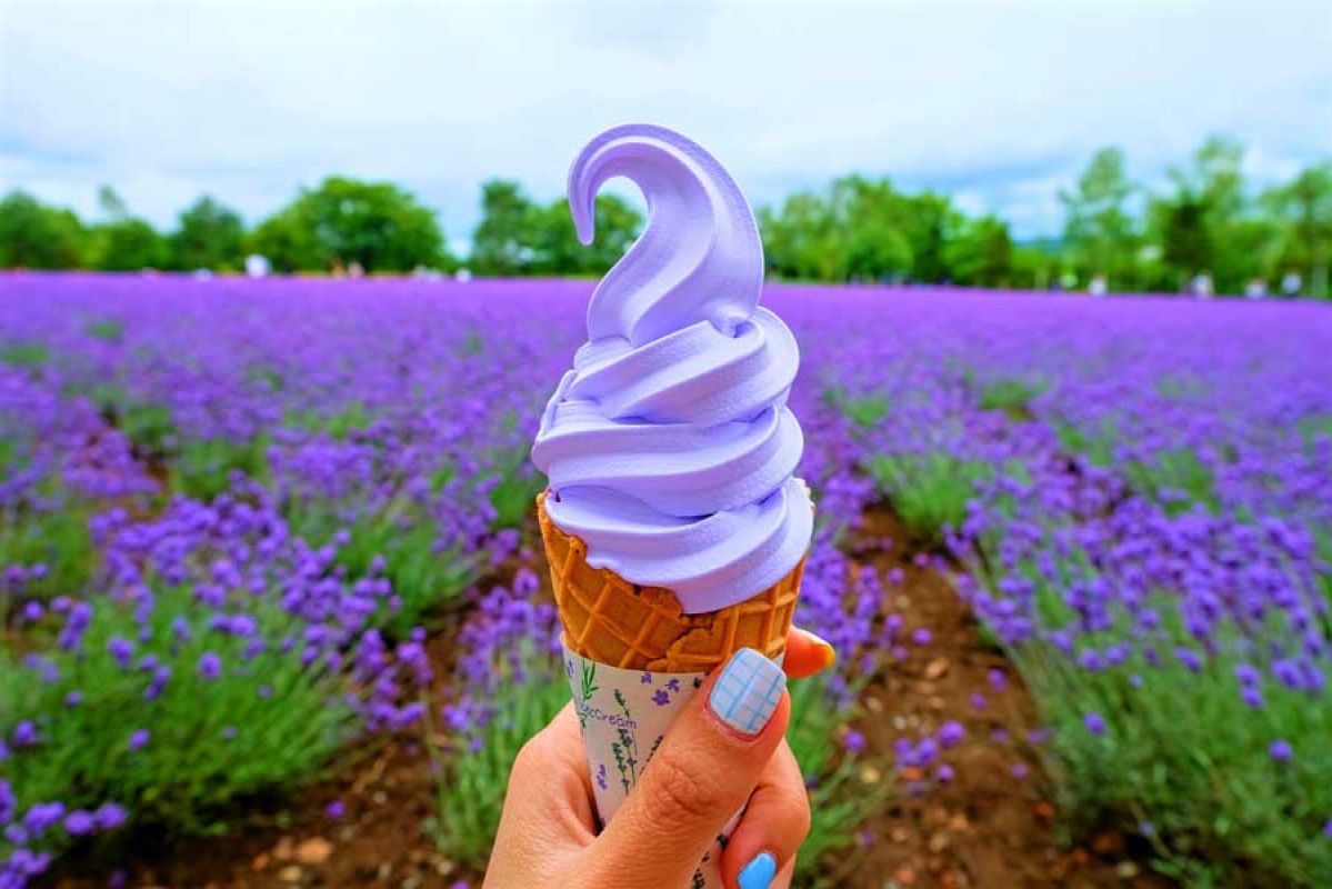 Lavender ice cream