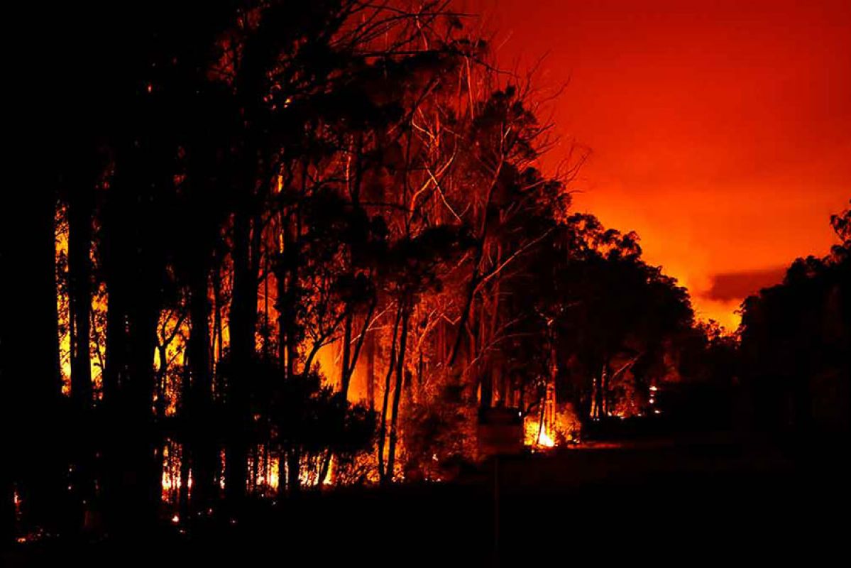 Bushfires in Australia