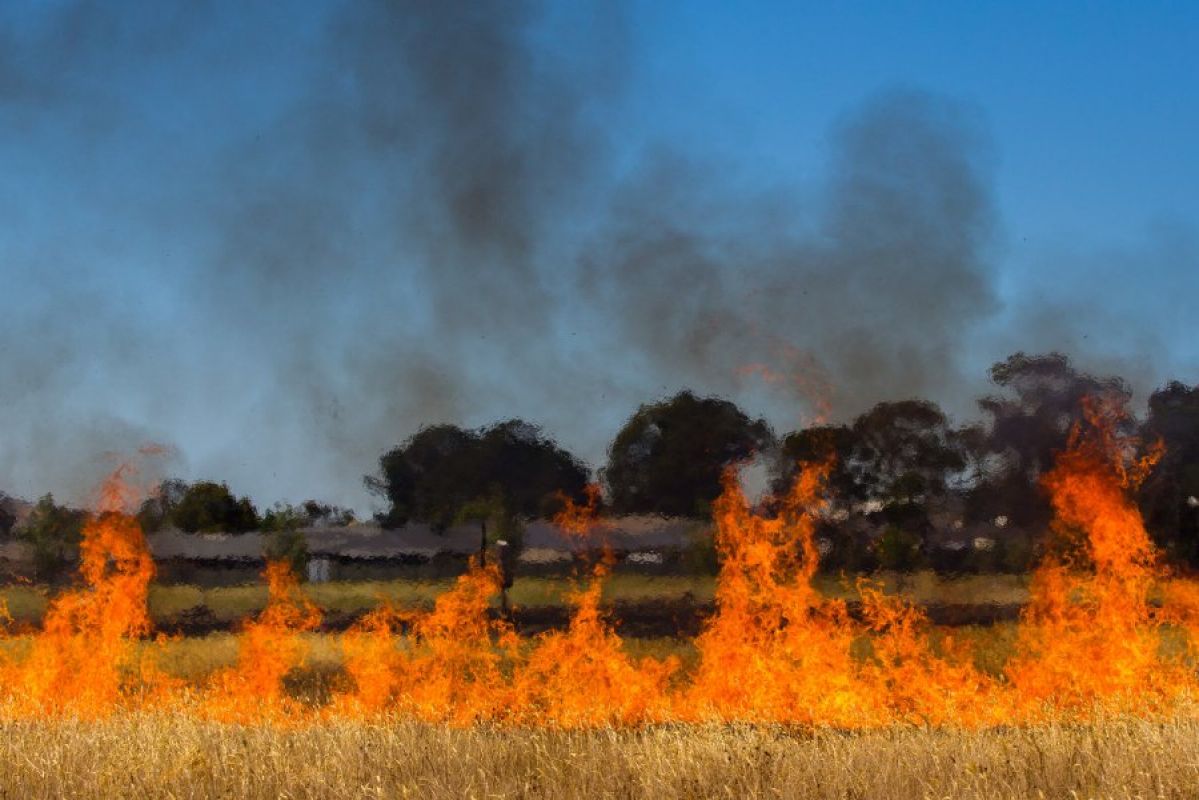 A grassfire rages in a dry yellow field