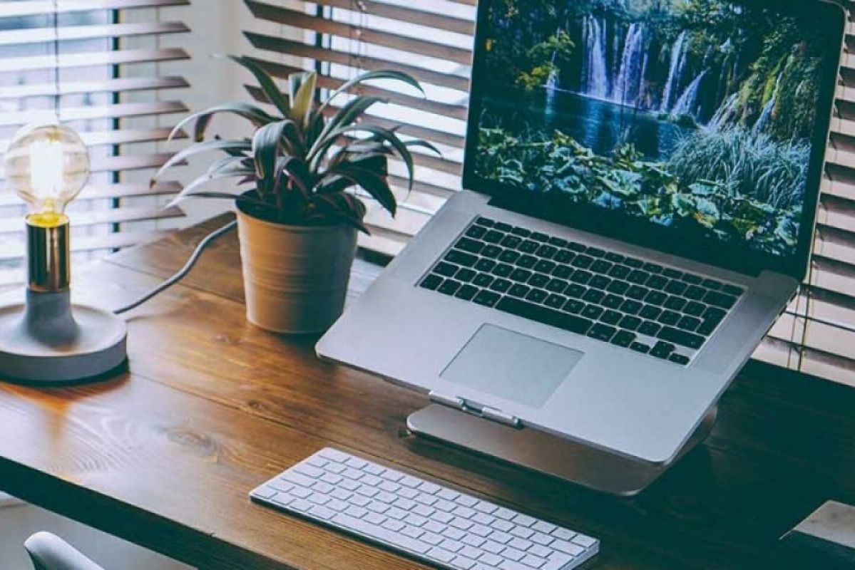 laptop on a desk with lightbulb and plants