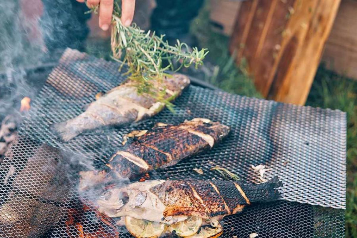 Cooking fish at a camp