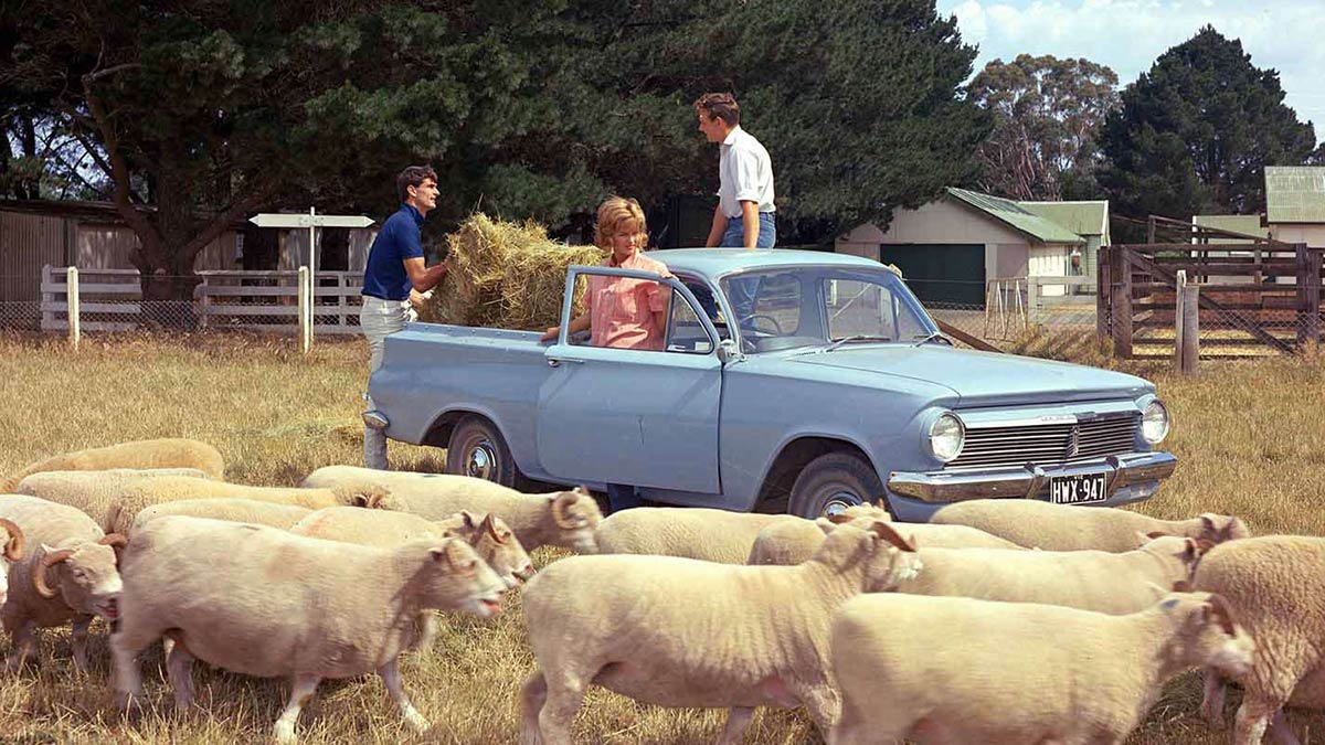 Holden EH ute