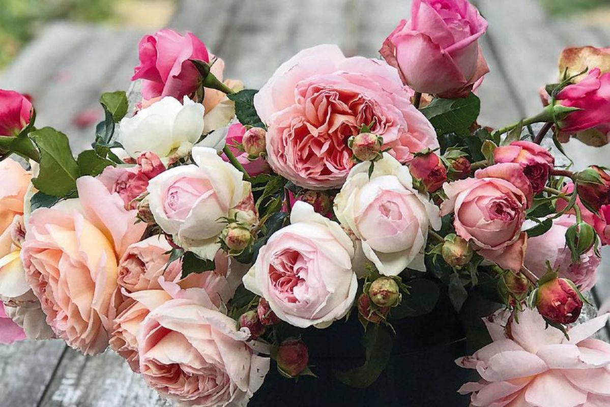 Pink and red roses bunch