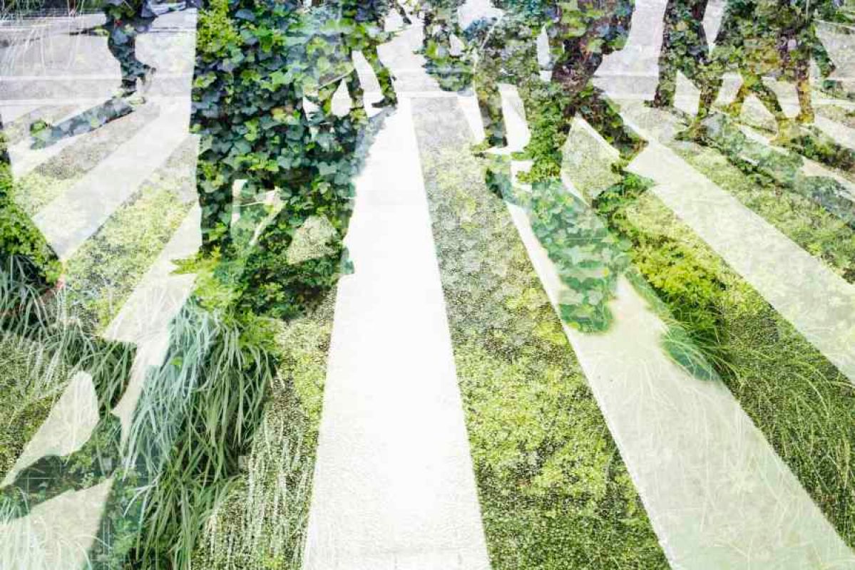 Green eco-friendly concept of people walking on pedestrian crossing