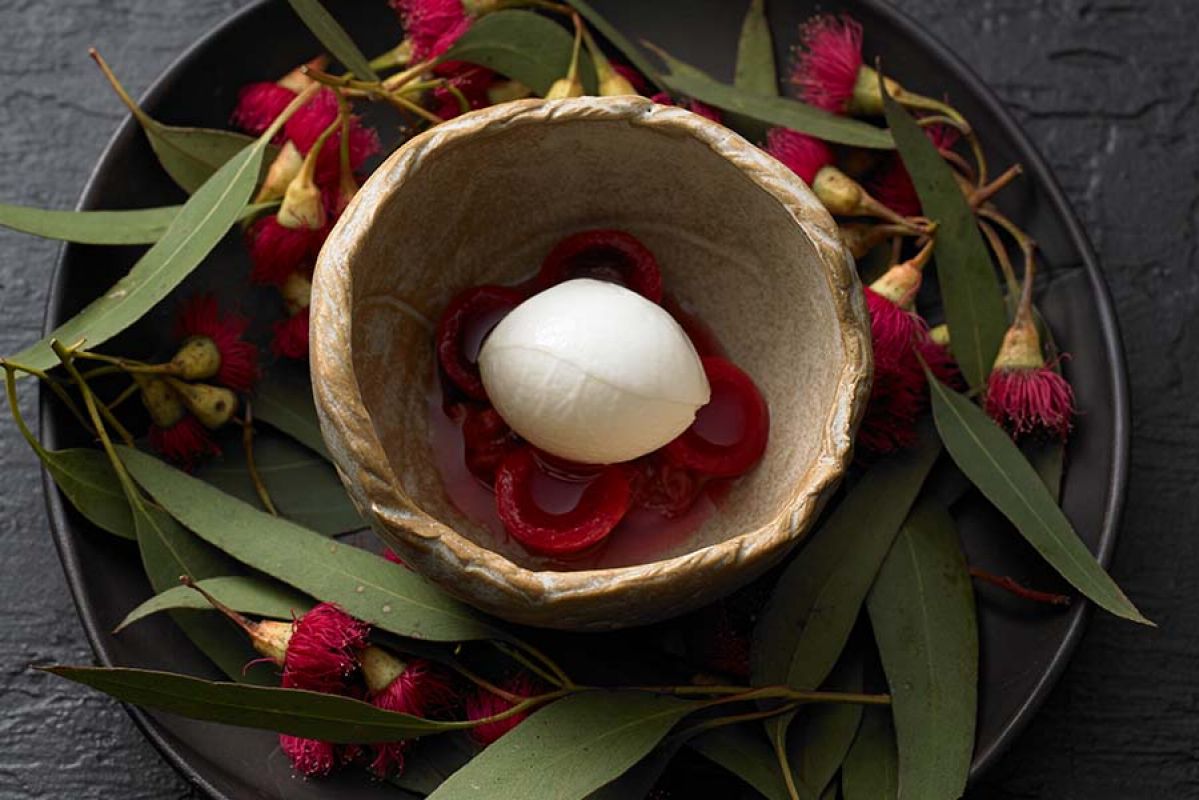 Clsoe up of native inspired fine dining dish at Brae Restaurant