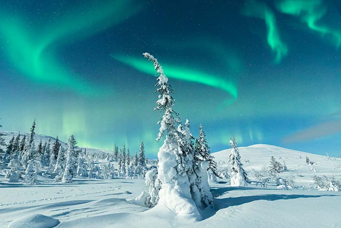 Scenic cruise with antarctica