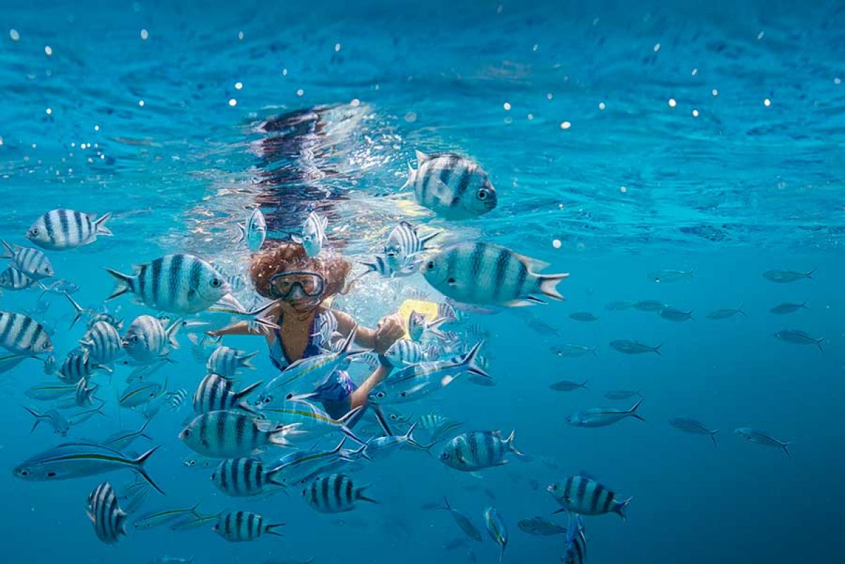 child snorkeling through a school of fish