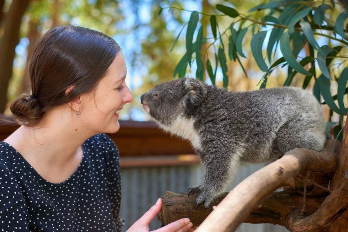 woman smiling at koala