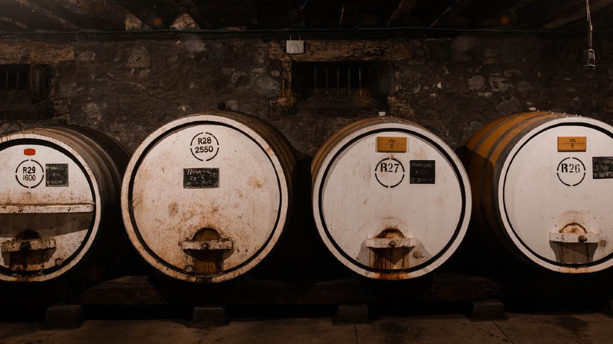Row of wine barrels