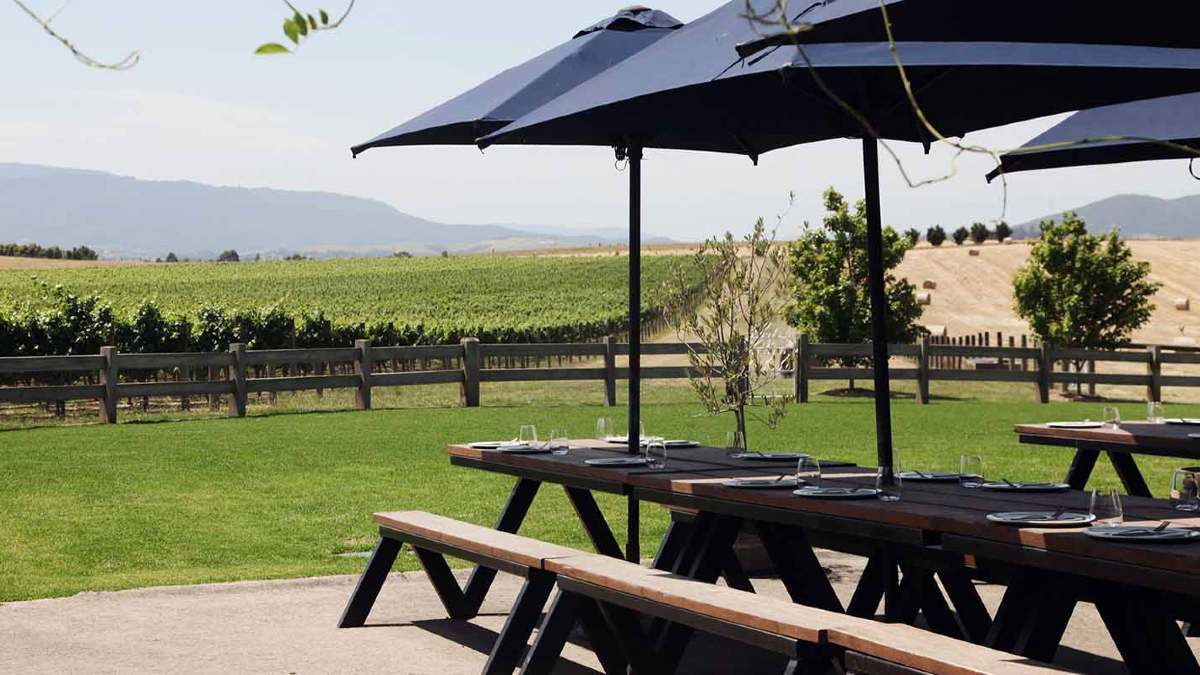 Outside dining tables next to a vineyard