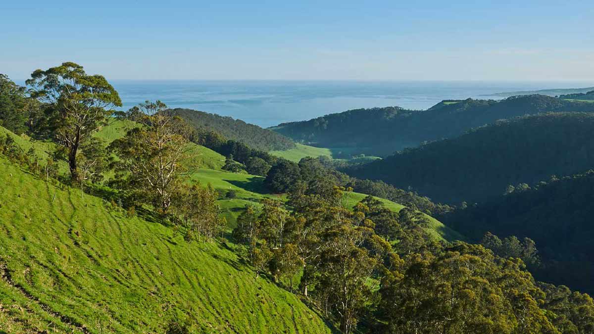 Rolling hills on a clear day