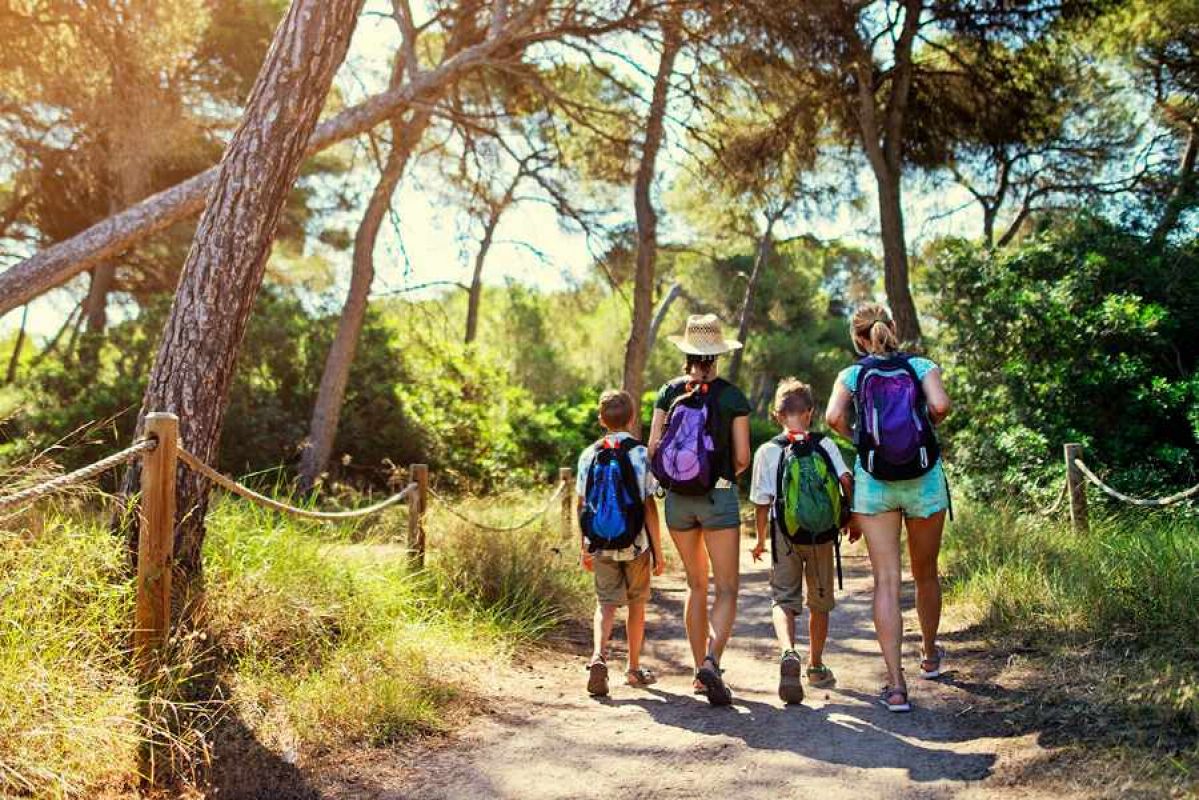 Women and children bushwalking in Victoria