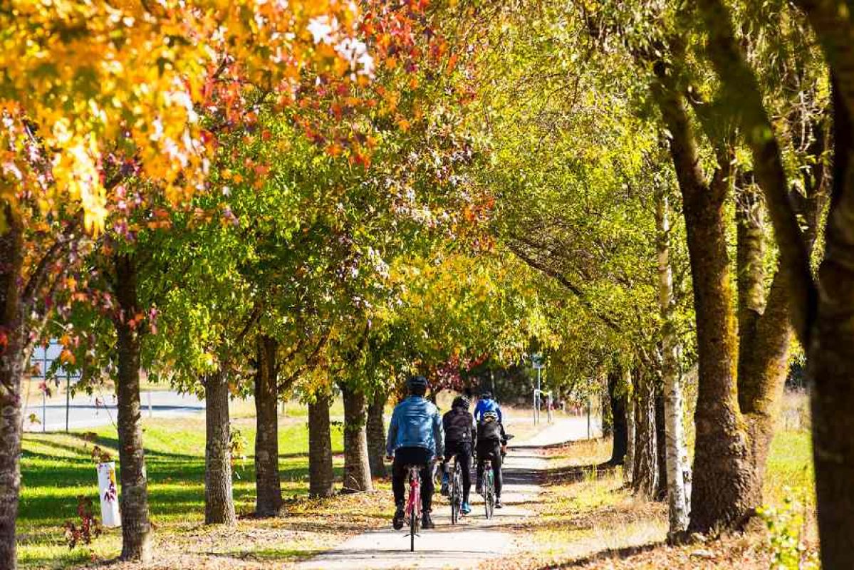Cyclists in golden hour move past Feathertop Wines