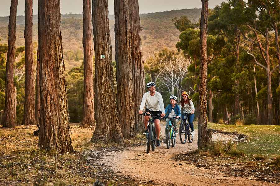 Six of the best bike tracks in the Goldfields, Victoria | RACV