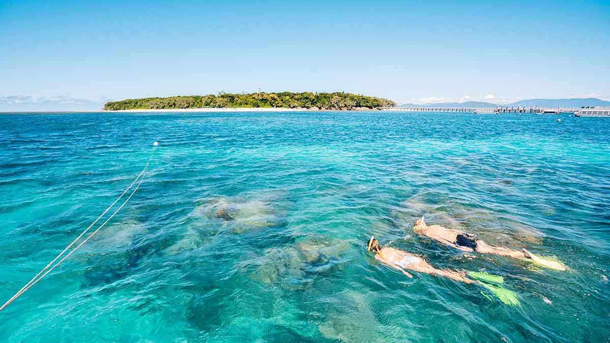 People snorkeling in clear blue water 