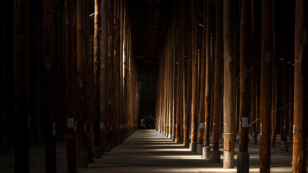 interior of historic grain store 
