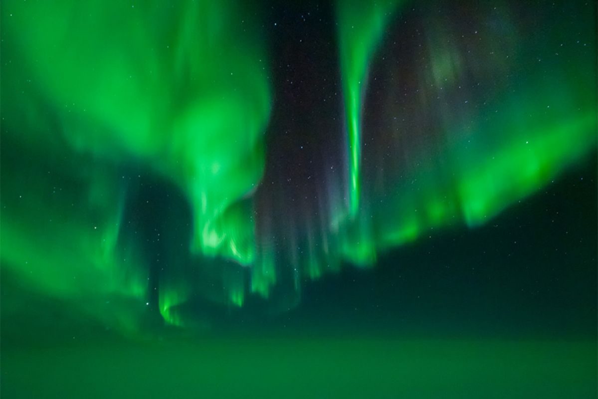 A green Aurora Australis in the night sky