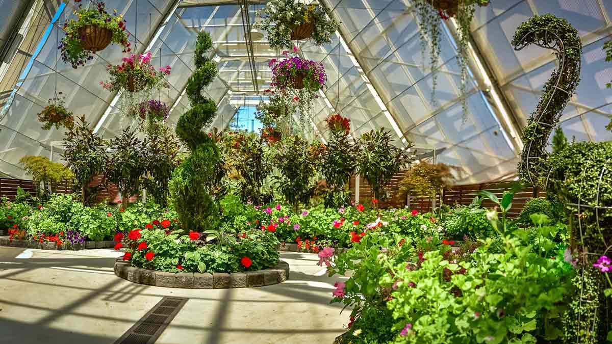  conservatory at Ballarat Botanic Gardens.