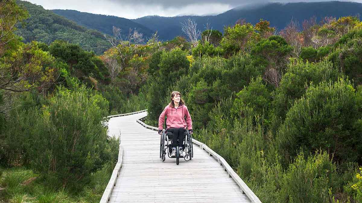 woman on hiking trail in wheelchair