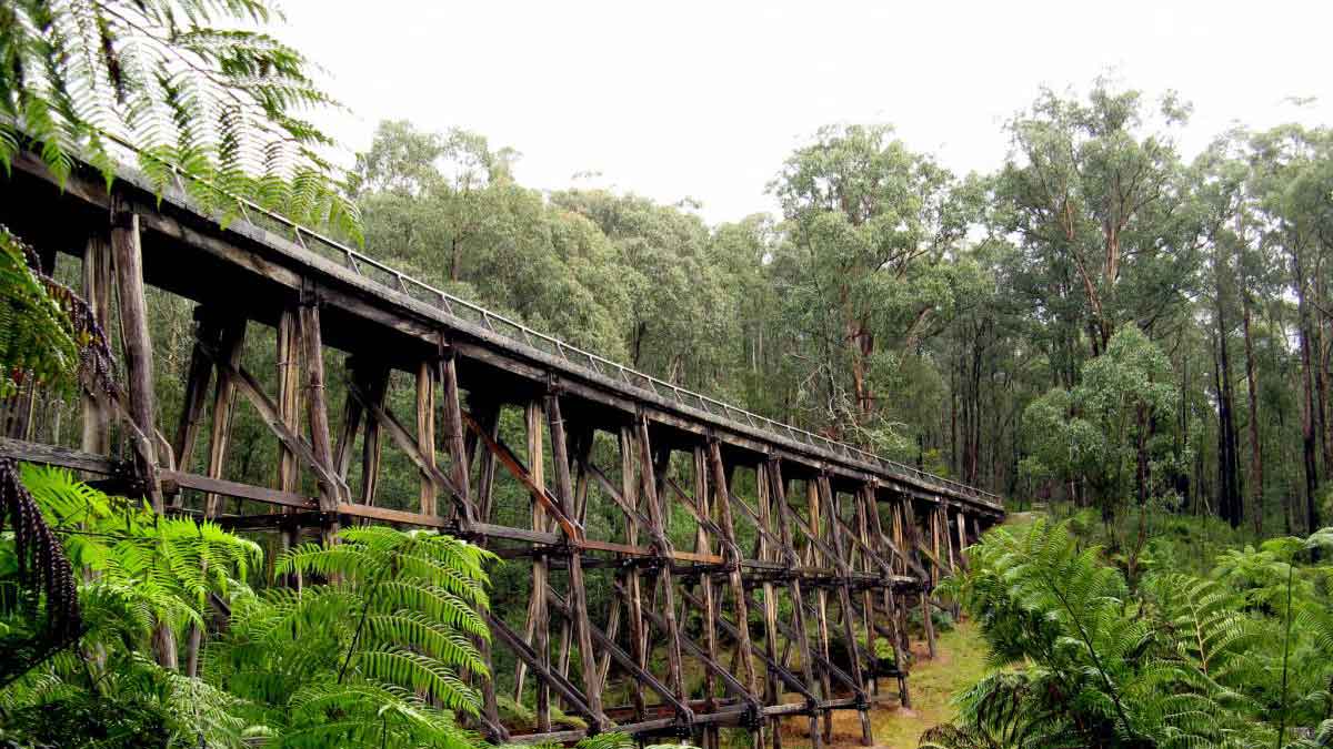 The Noojee Rail Trail. Image: Railtrails.org