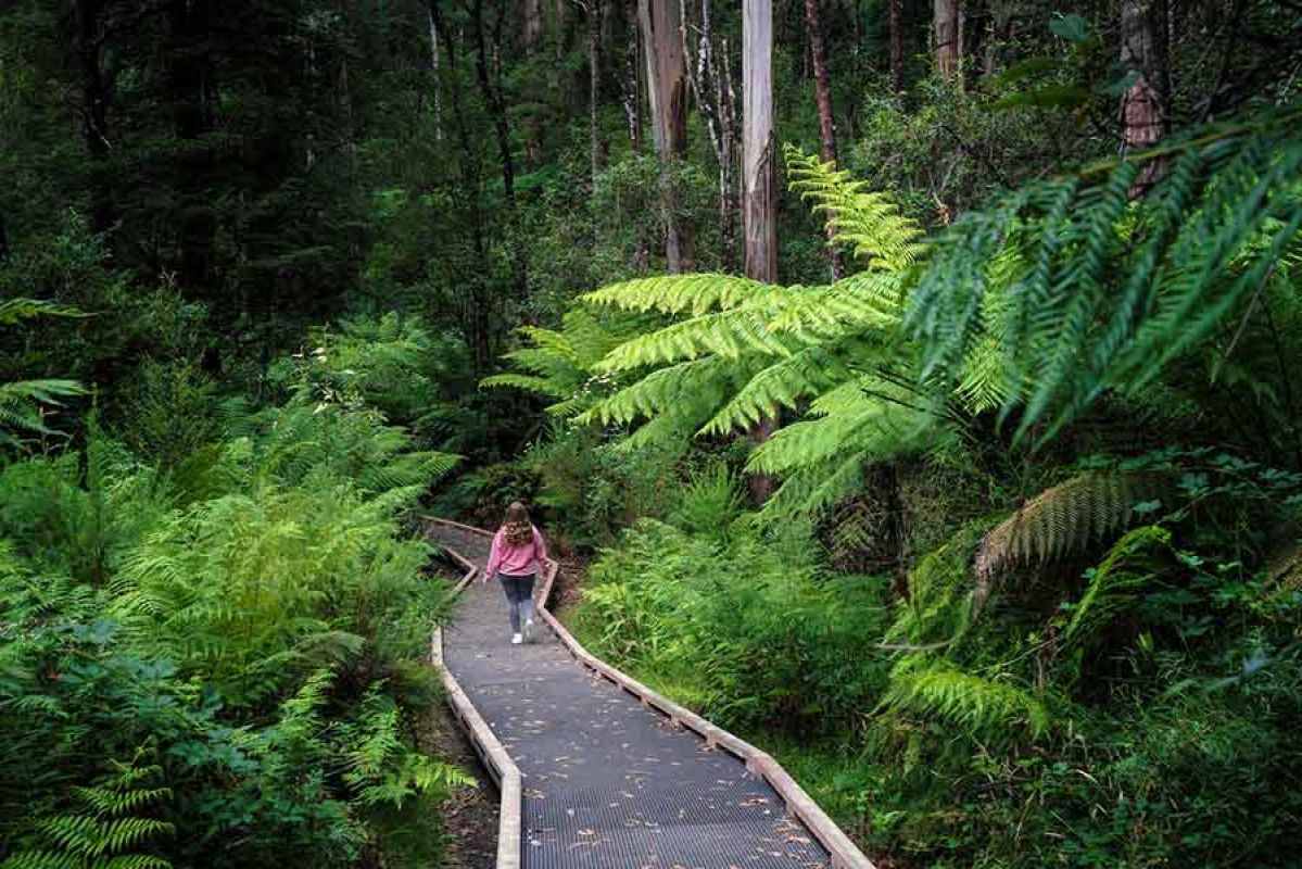 Wirrawilla hike