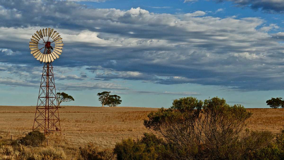 Windmill in the distance amongst trees