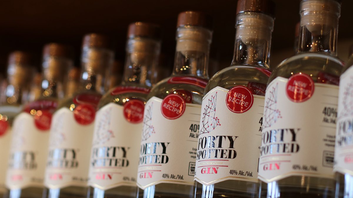 Line of gin bottles
