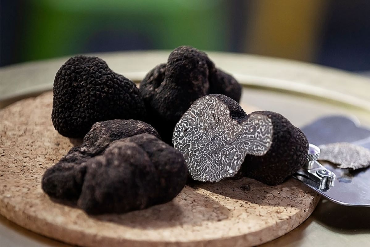 Black truffles on a wooden platter with a metal truffle shaver next to them