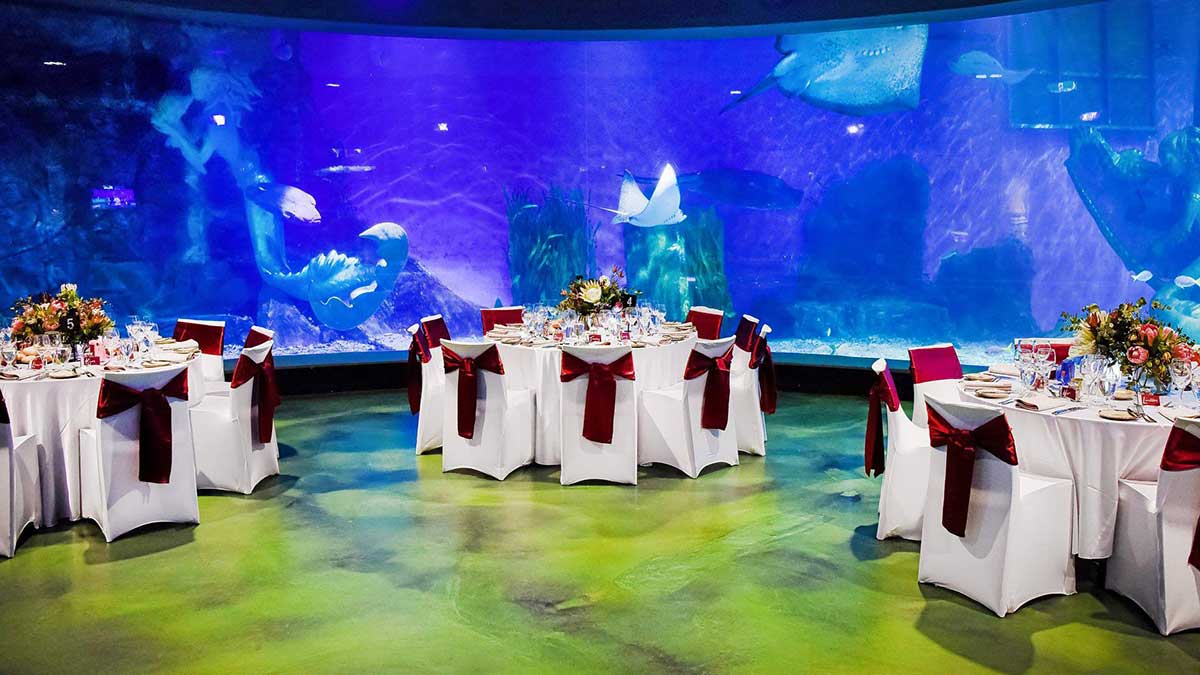 1200x675-aquarium-Venue-Space-HERO-SHOT