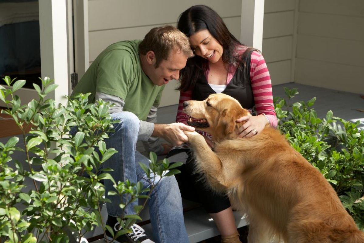 A couple with a golden retriever sitting on their front porch on sunny day