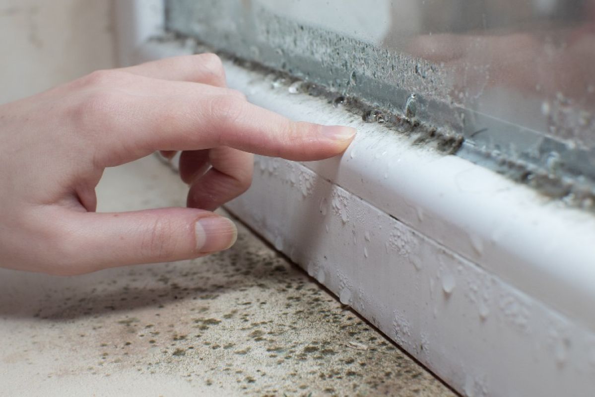 A hand touching a wooden windowsill where blotchy black mould has formed and condensation can be seen on the glass pane