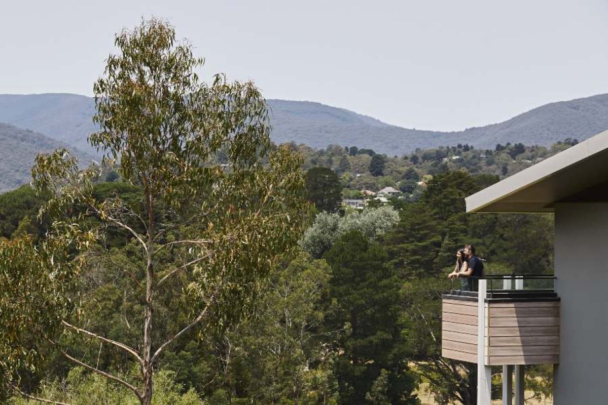 couple on balcony looking at tall tree