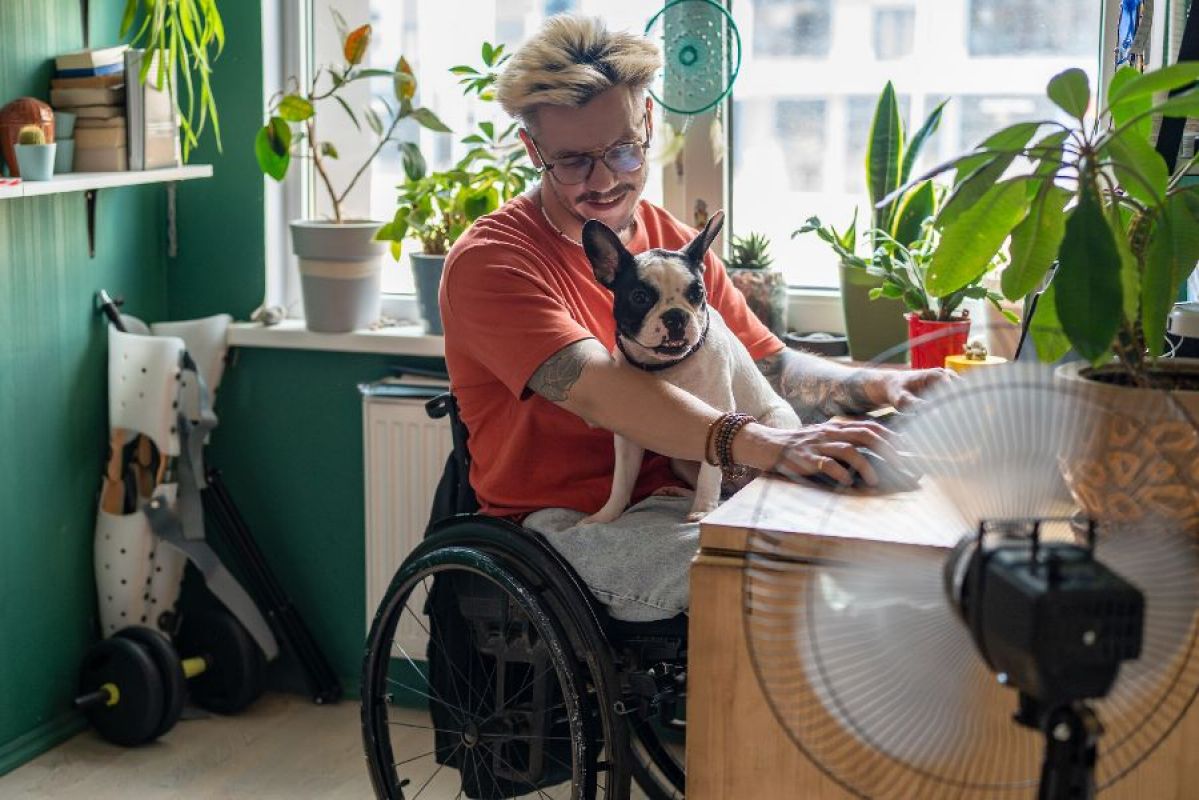 A man sitting in a wheelchair while working at a desk. He is smiling down at a black and white French bulldog on his lap
