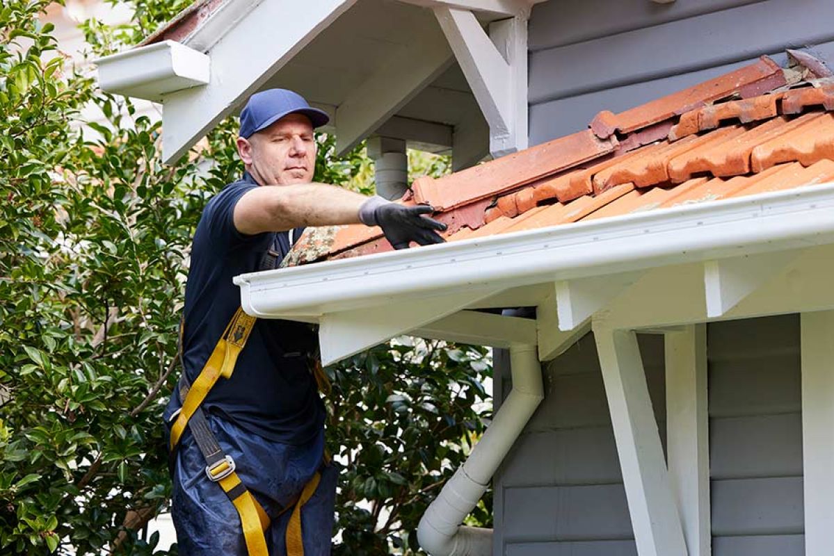 RACV tradie in harness on ladder clearing out roof gutter on weatherboard home with terracotta tiles