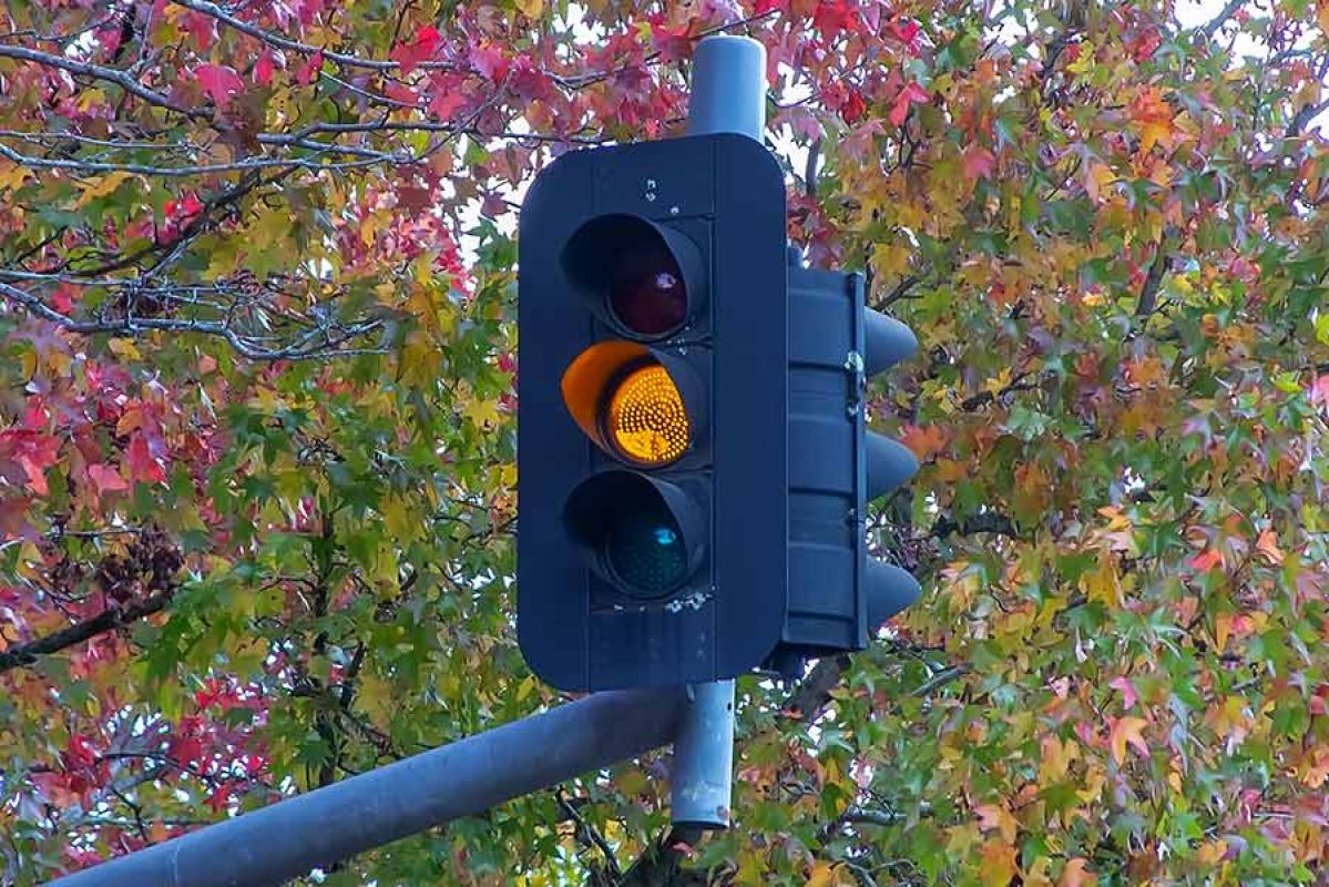 Overhead traffic light showing yellow light with colourful autumn leaves in background