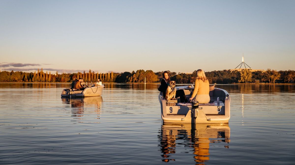 Two groups of people on electric dinghies on Lake Burley Griffin at Sunset. One group of people have a bulldog with them and Parliament House can be seen in the background