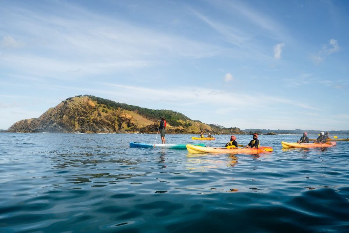 people in kayaks and on a SUP in Byron Bay