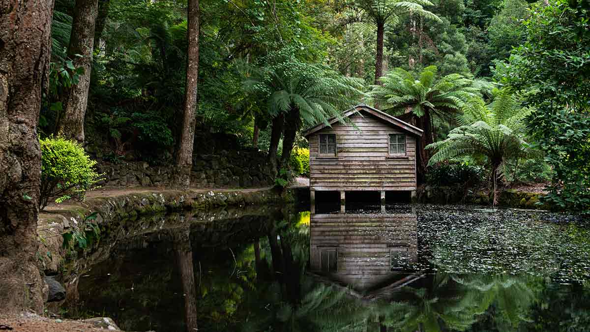 Lakehouse surrounded by tall ferns in Alfred Nicholas Memorial Gardens