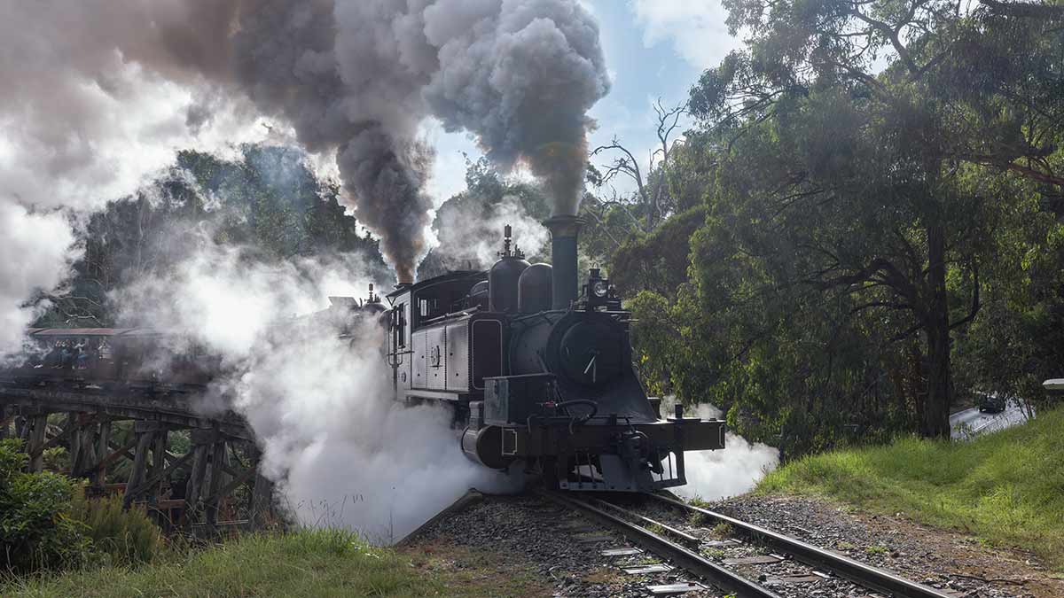 Puffing Billy billowing steam as it crosses trestle bridge