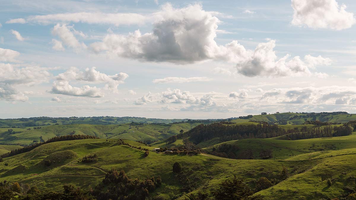 View of Strzelecki Ranges from Grand Ridge Road