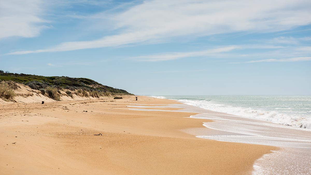 Ninety Mile Beach with dunes and surf